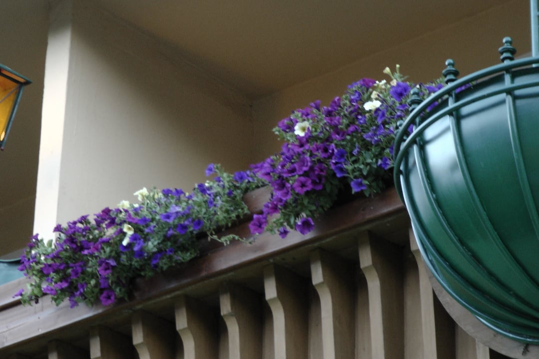 Außenansicht Hotel & Restaurant Wastlwirt