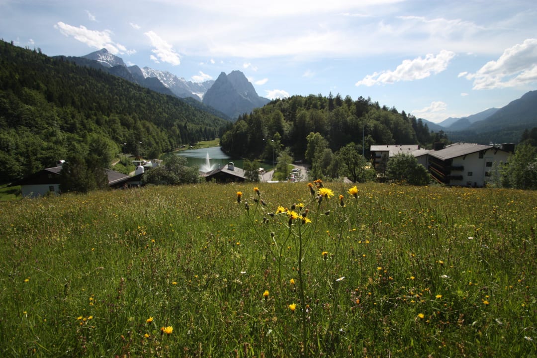 Blumenwiese über dem Riessersee, Garmisch Riessersee Hotel