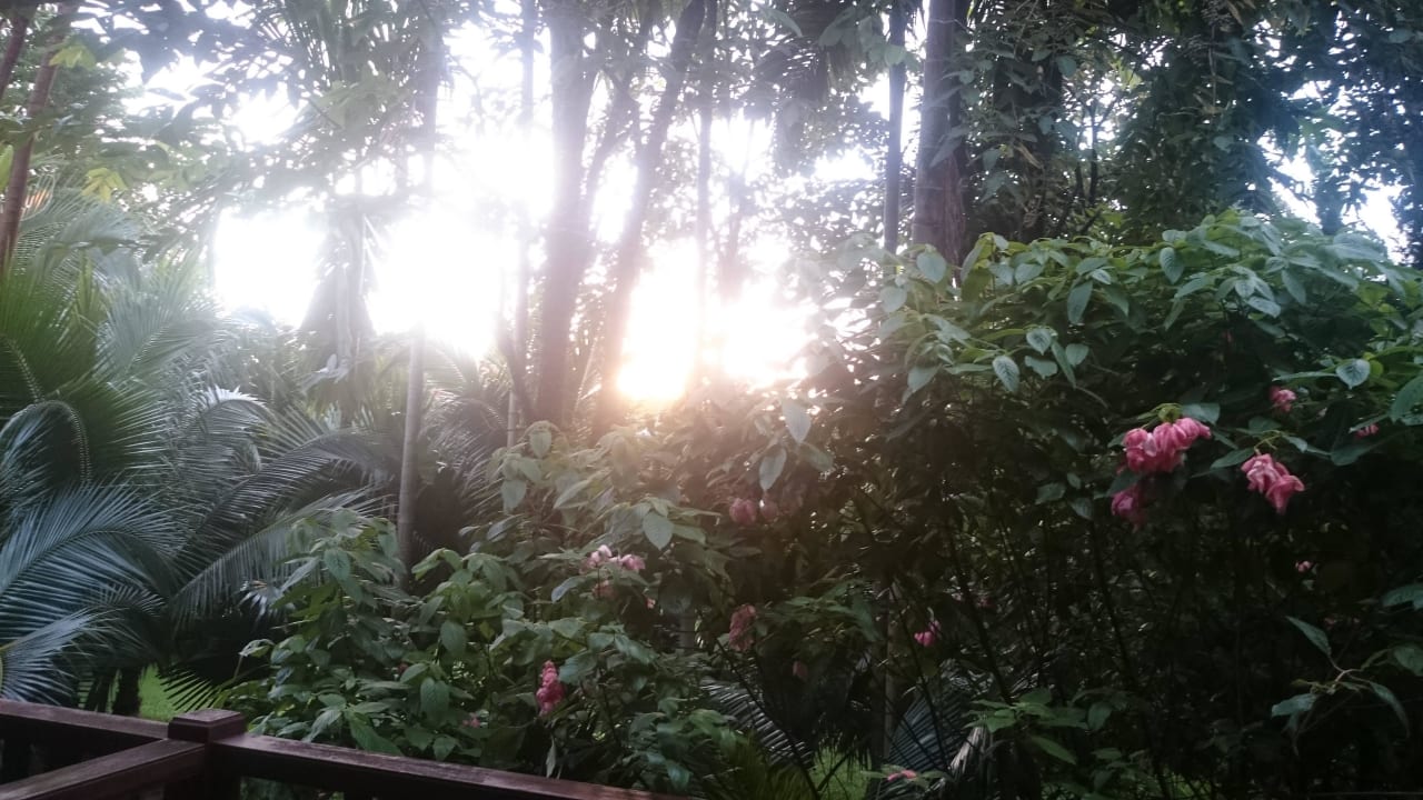 Ausblick vom Balkon Khaolak Laguna Resort