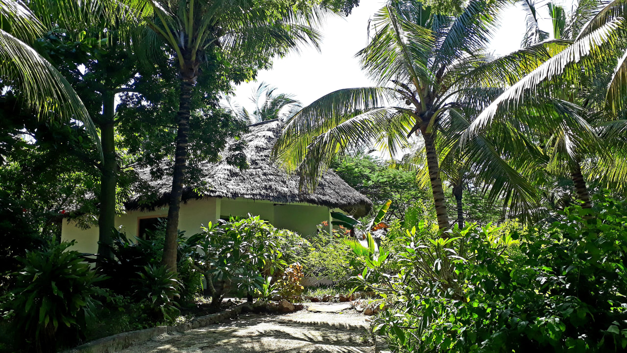 Gartenanlage Spice Island Hotel & Resort