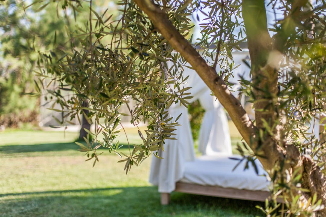 Gartenanlage Club del Sol Aparthotel