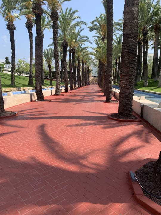 Strand Monachus Family Resort Sorgun