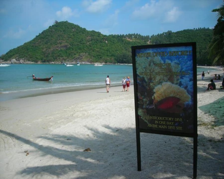 Hotelstrand direkt bei der Tauchbasis Hotel Dreamland Resort