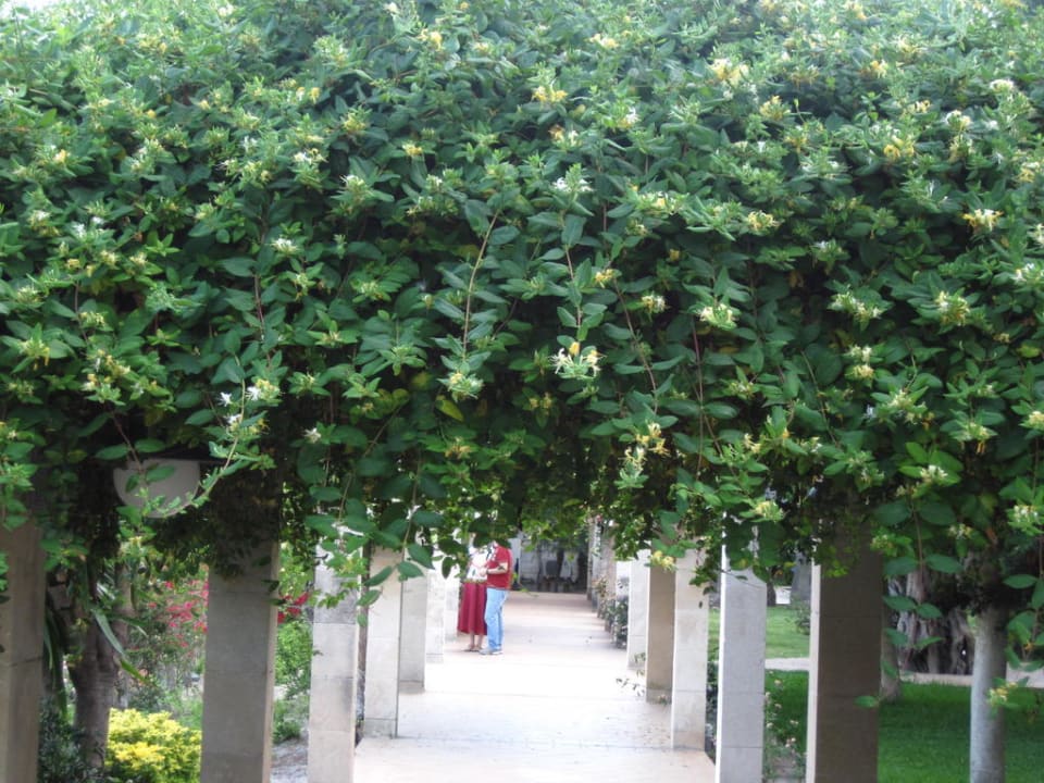 Garten Playa Garden Selection Hotel & Spa