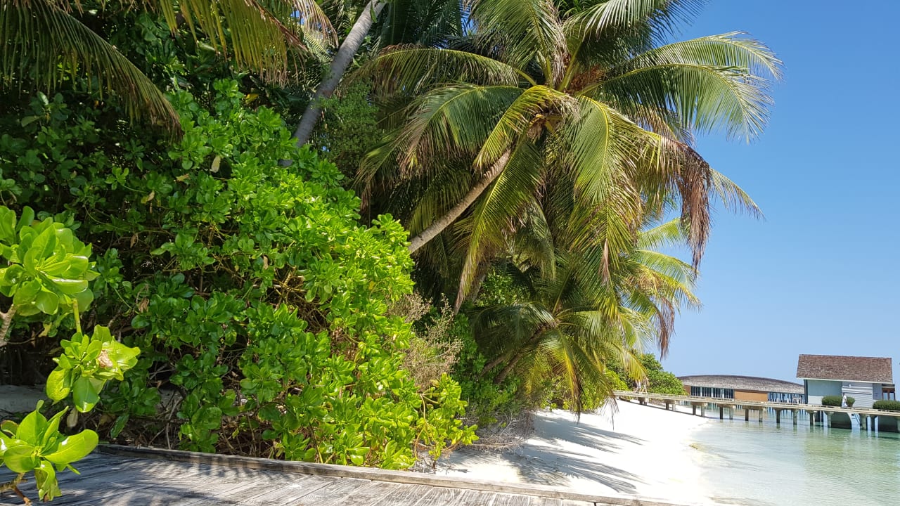 Strand Kuramathi Maldives