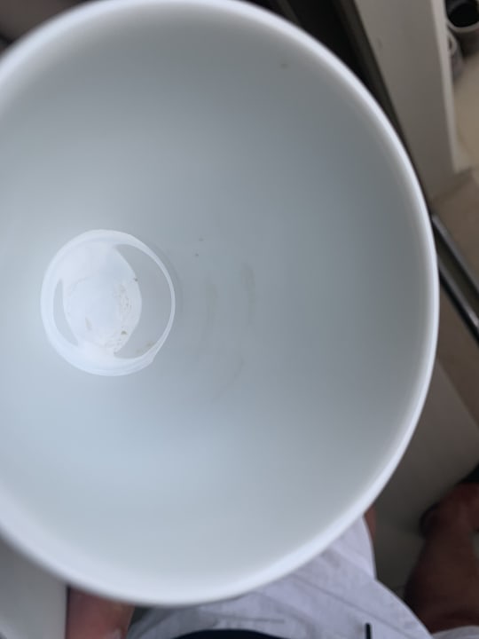 Zimmer Elysium Resort & Spa Hotel