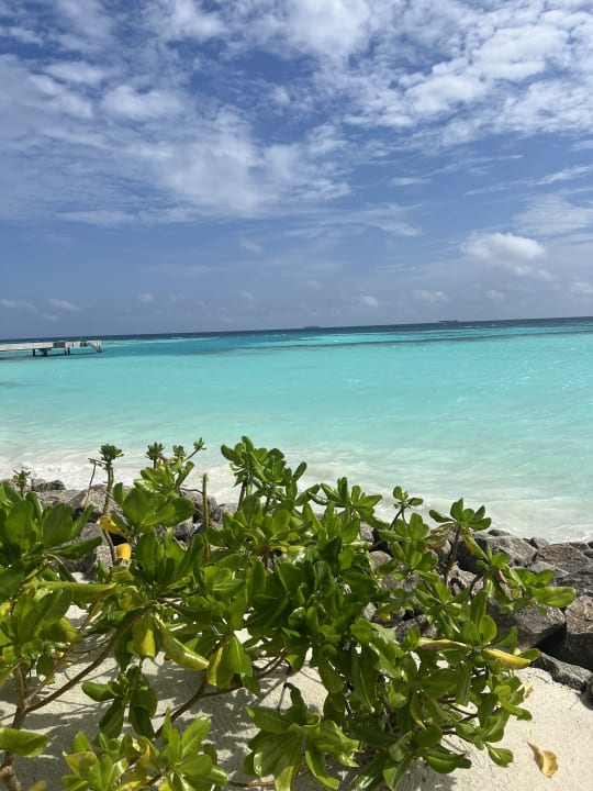 Strand Hotel Riu Palace Maldivas