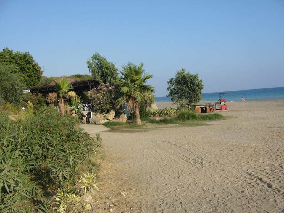 Sun Flipper Hotel Club Life Kizilot