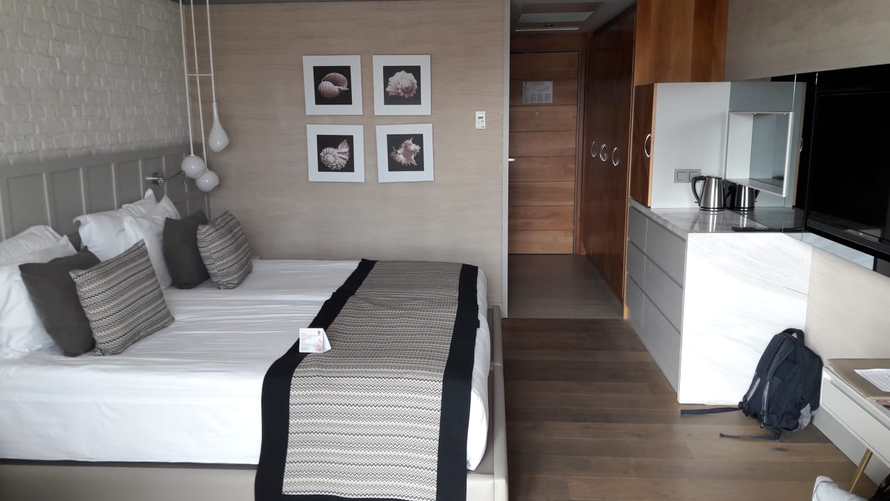 Zimmer Acanthus Cennet Barut Collection