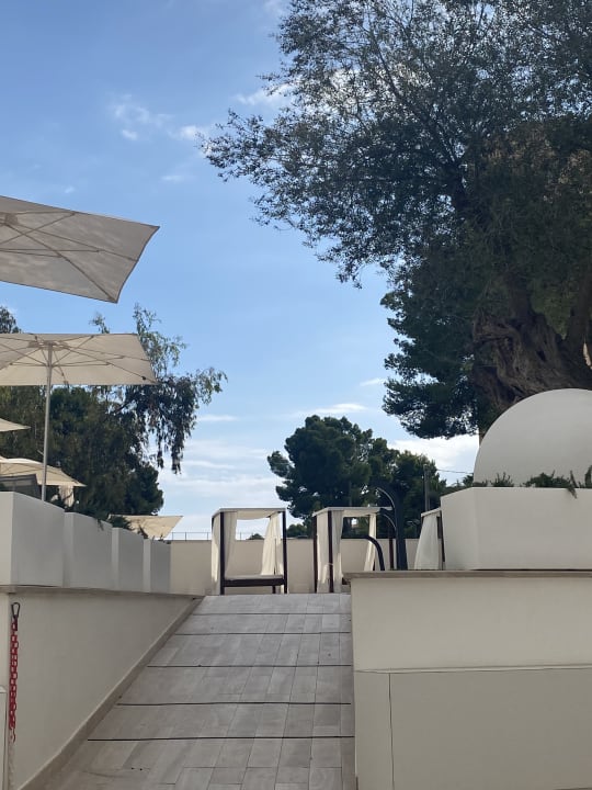 Gartenanlage BQ Bulevar Paguera - Adults only
