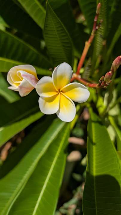 Sonstiges Lazuli Hotel Marsa Alam