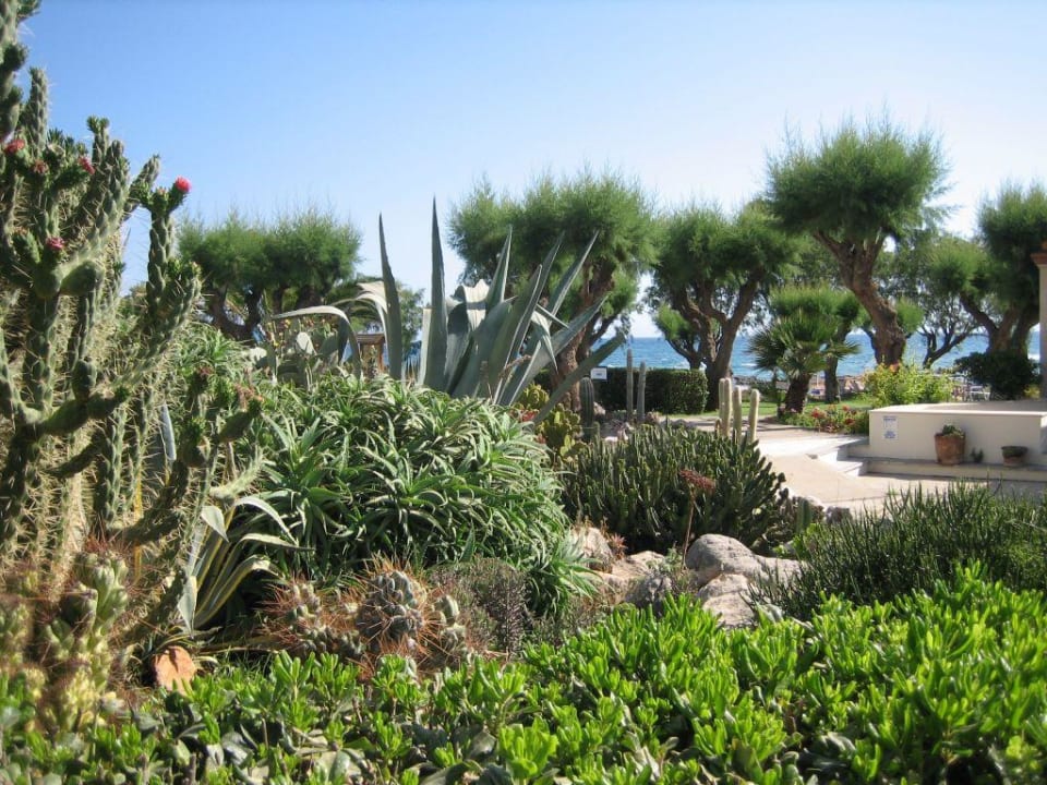 Cretan Malia Park Phãea Cretan Malia