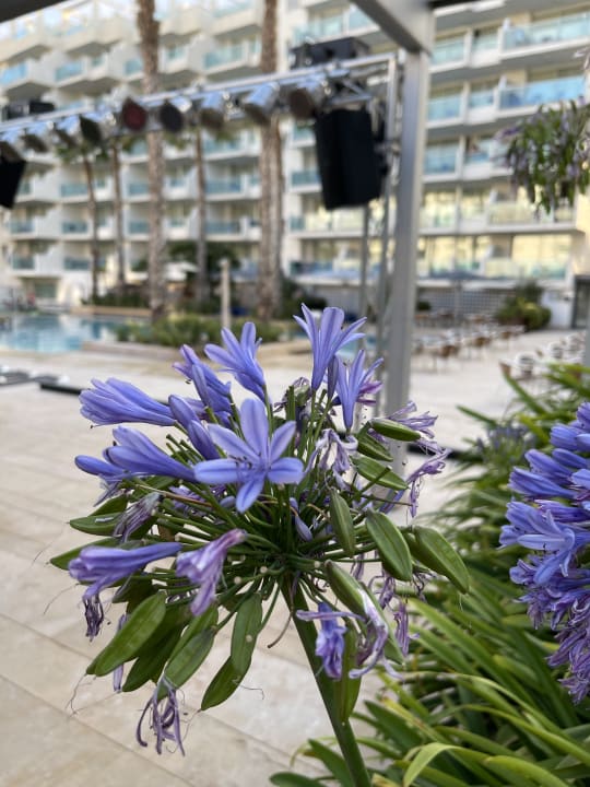 Gartenanlage Blaumar