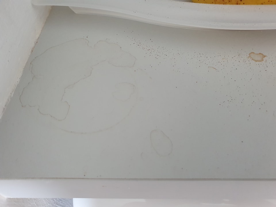 Sonstiges Grupotel Alcudia Pins