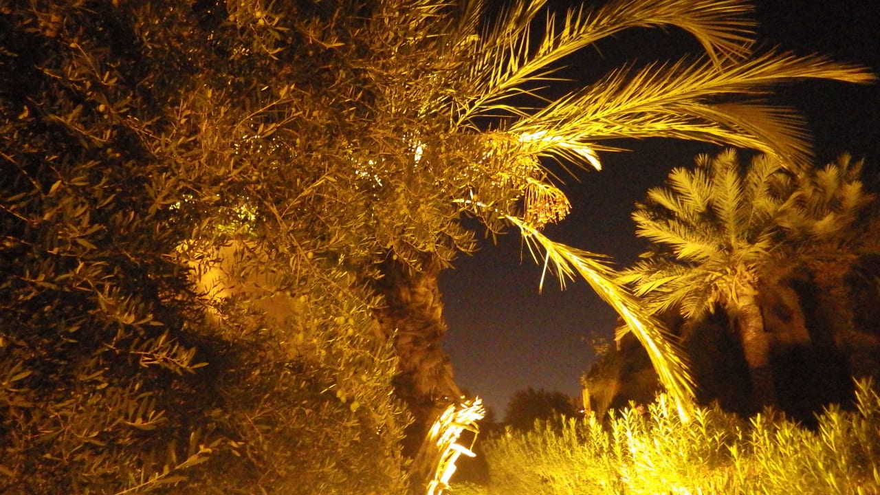 Gartenanlage Hotel Kenzi Club Agdal Medina