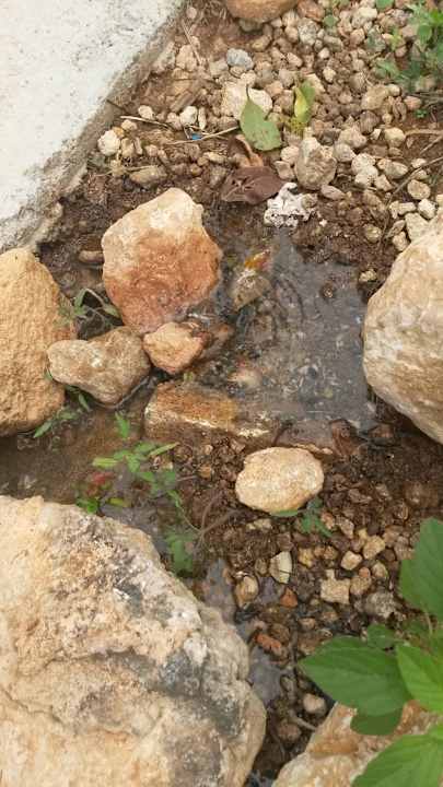 Abflussrohr Finca Kalotta