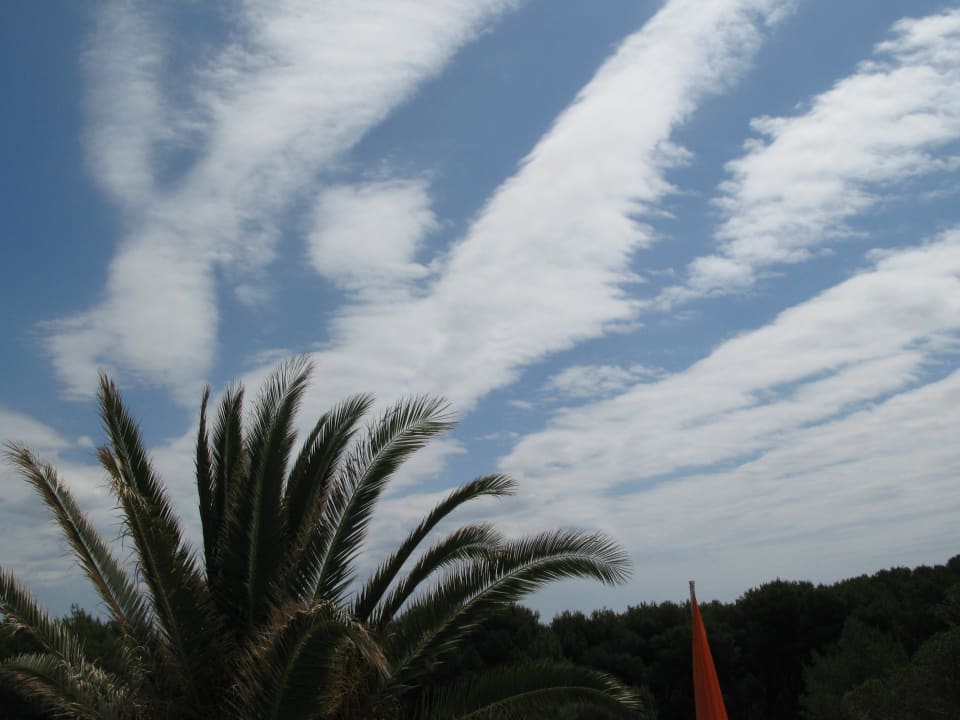 Palme vor dem Balkon - von Wolkenfetzen verlängert Playa Parc Apartments