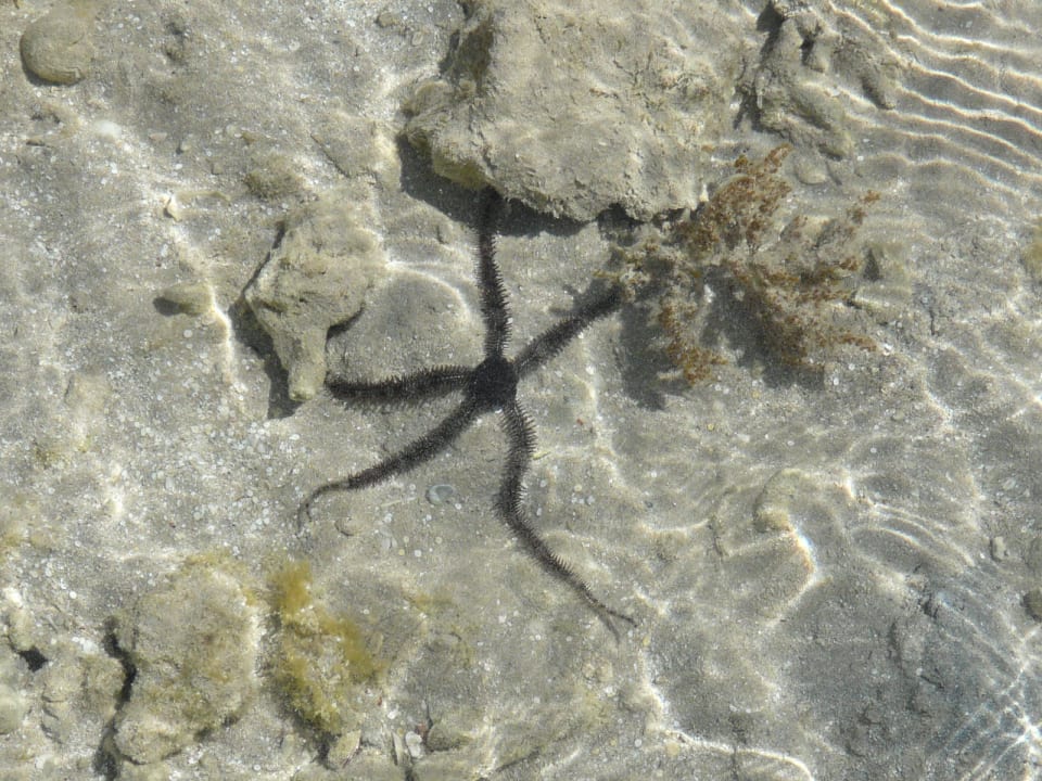 Toll Titanic Beach Spa & Aqua Park