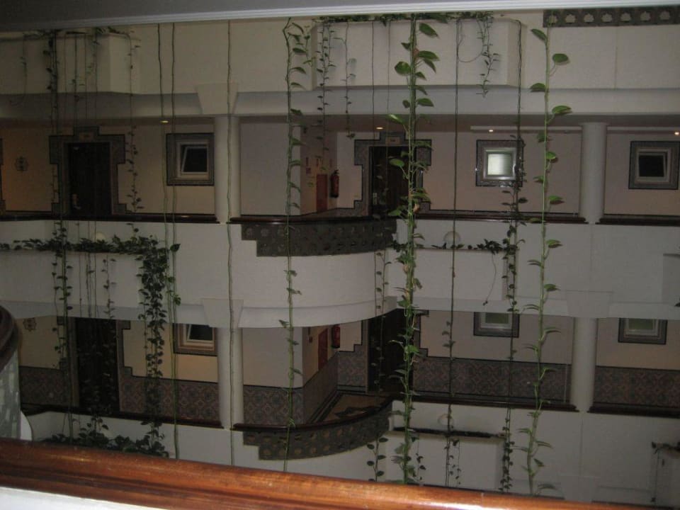 Innen Hotel Oriental AP Oriental Beach - Adults Friendly