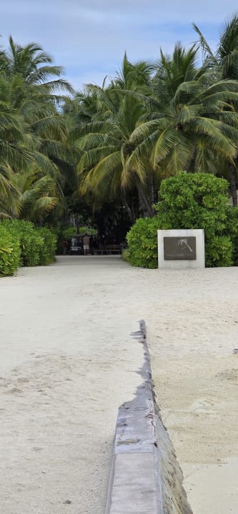 Lobby Kuredu Island Resort & Spa