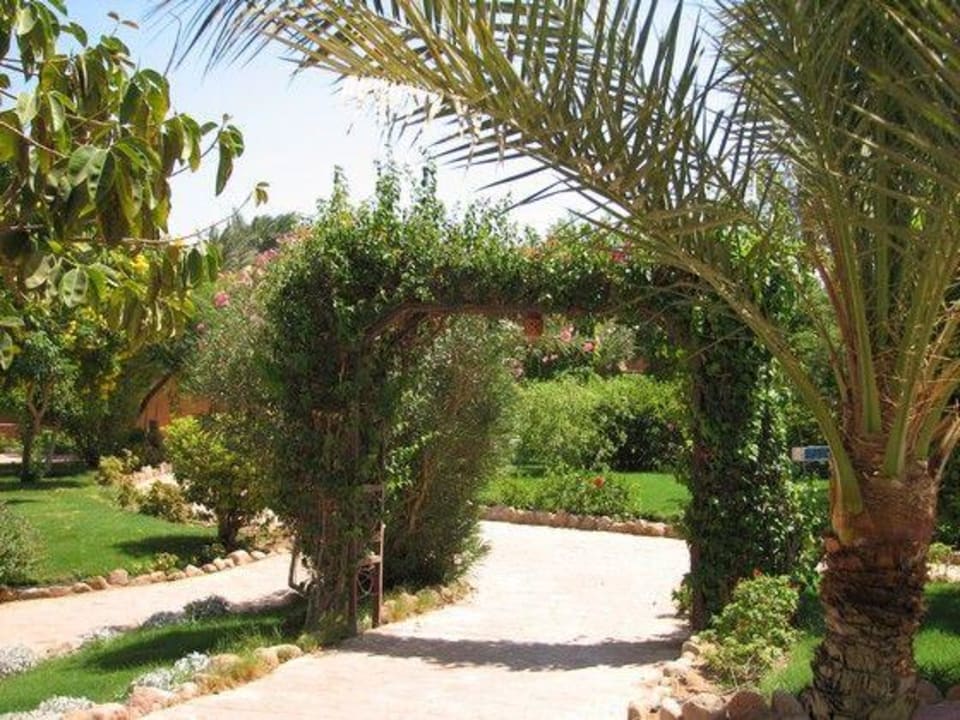 Ogród Hotel Nubian Village