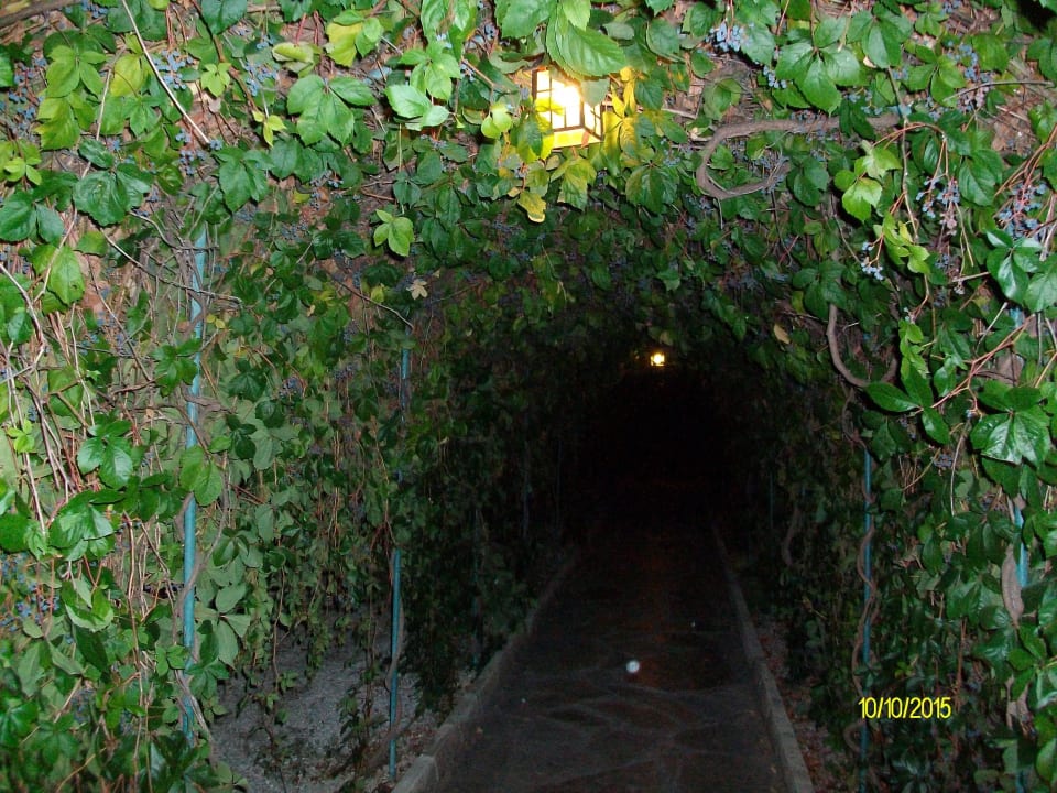 Laubengang Hotel Club Paradiso