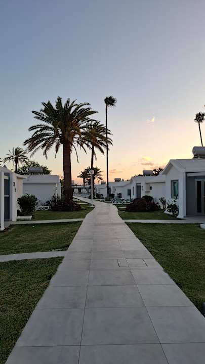 Gartenanlage Canary Garden Club