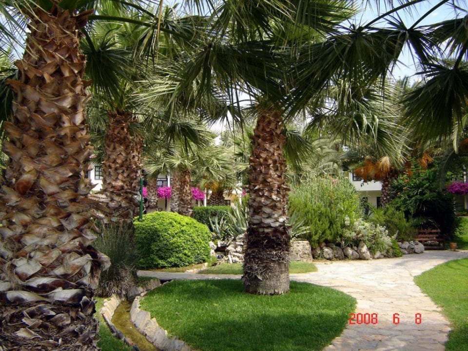 Gartenanlage TUI BLUE Sarigerme Park