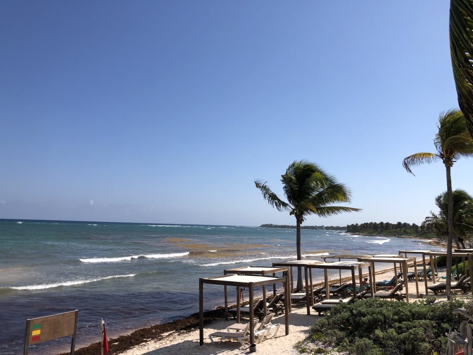 Strand Akumal Bay Beach & Wellness Resort