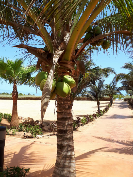 Außenansicht Hotel Riu Touareg