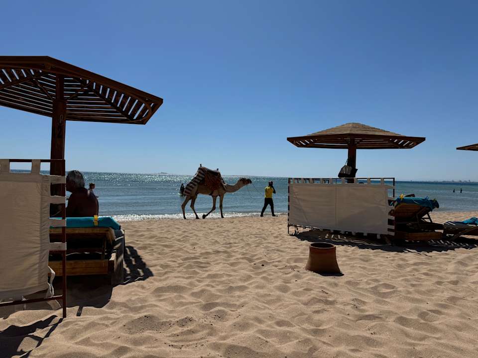 Strand Shams Prestige Abu Soma-Adults Only