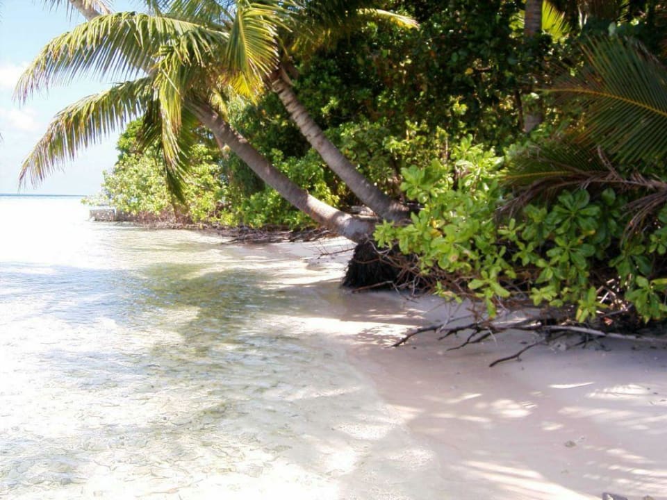 076 Strand nach rechts fotografiert. Vilamendhoo Island Resort & Spa