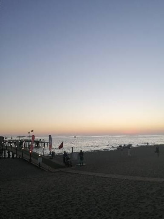 Strand Dizalya Palm Garden