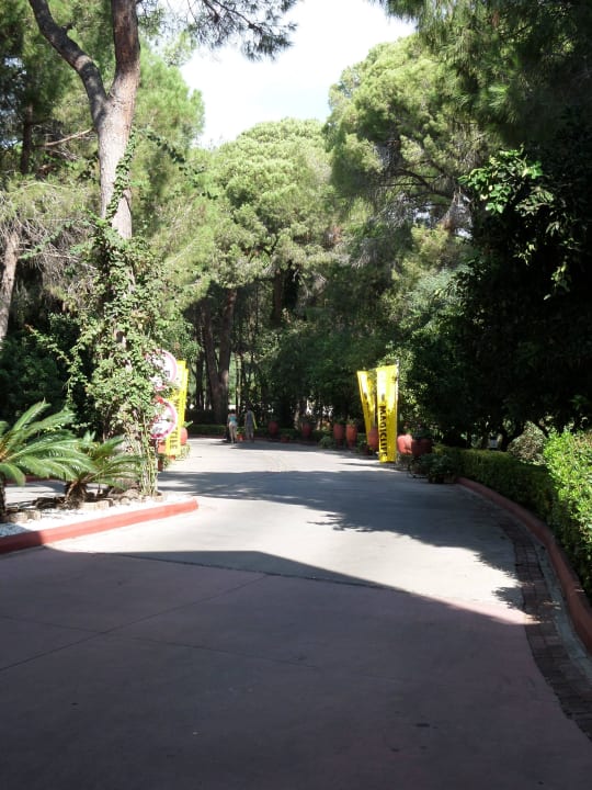 Anfahrtsweg Asteria Family Belek
