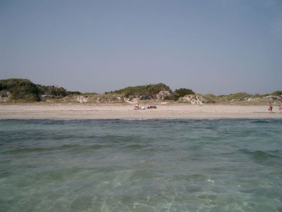 Strand Blue Bay Valentin Playa de Muro