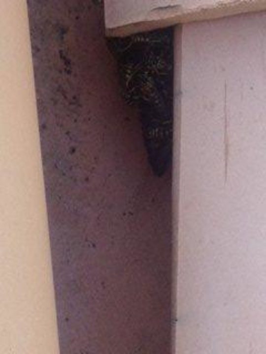 Wespennester Casa Castillo