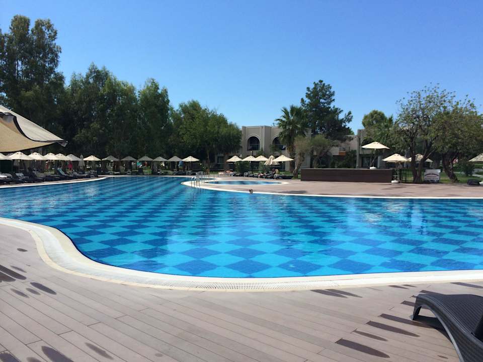 Pool Asteria Venus Didim
