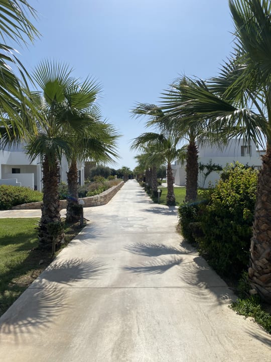 Gartenanlage Atlantica Plimmiri