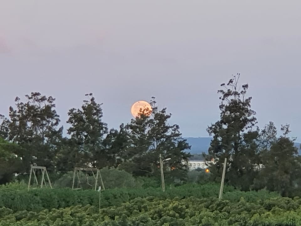 Zimmer Golden Club Cabanas