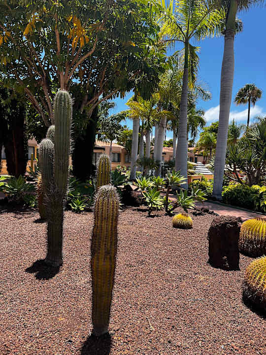 Gartenanlage allsun Hotel Esplendido