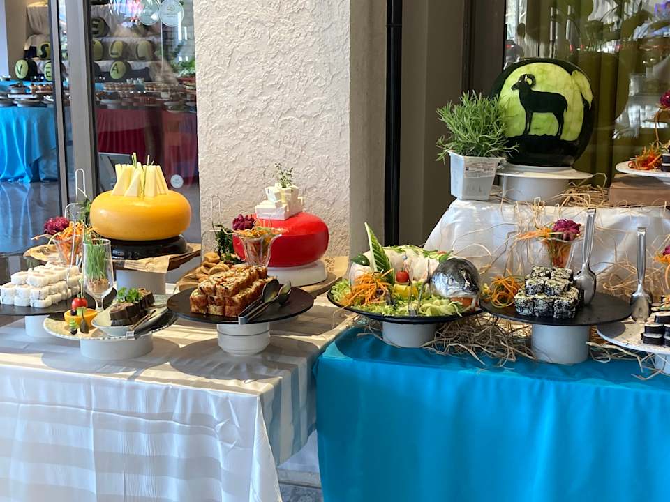 Gastro Seashell Vega