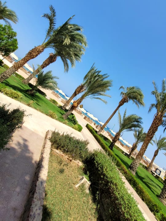 Strand Menaville Safaga