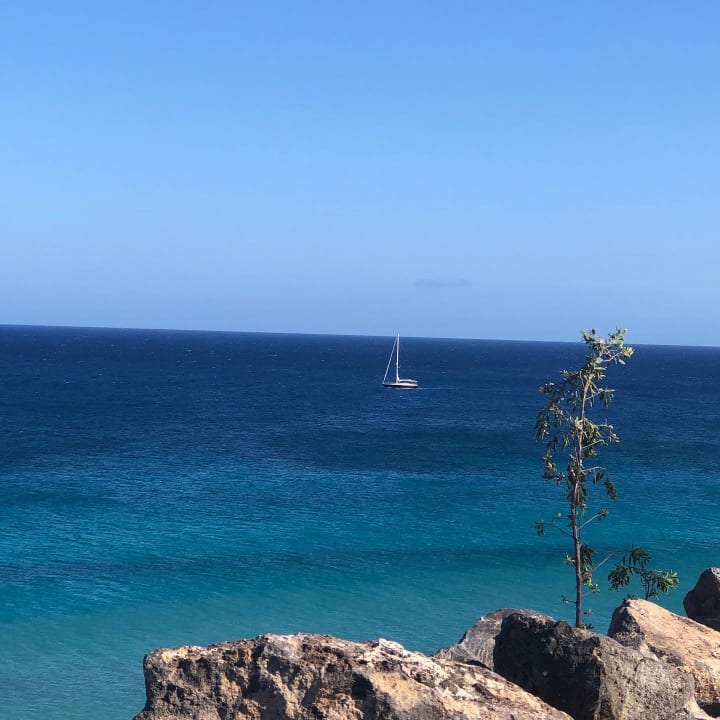 Ausblick TUI MAGIC LIFE Fuerteventura