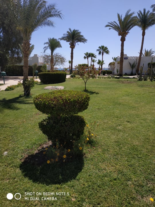 Gartenanlage Shams Safaga Resort