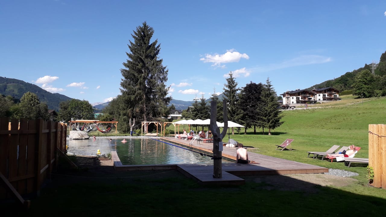 Pool Das Falkenstein