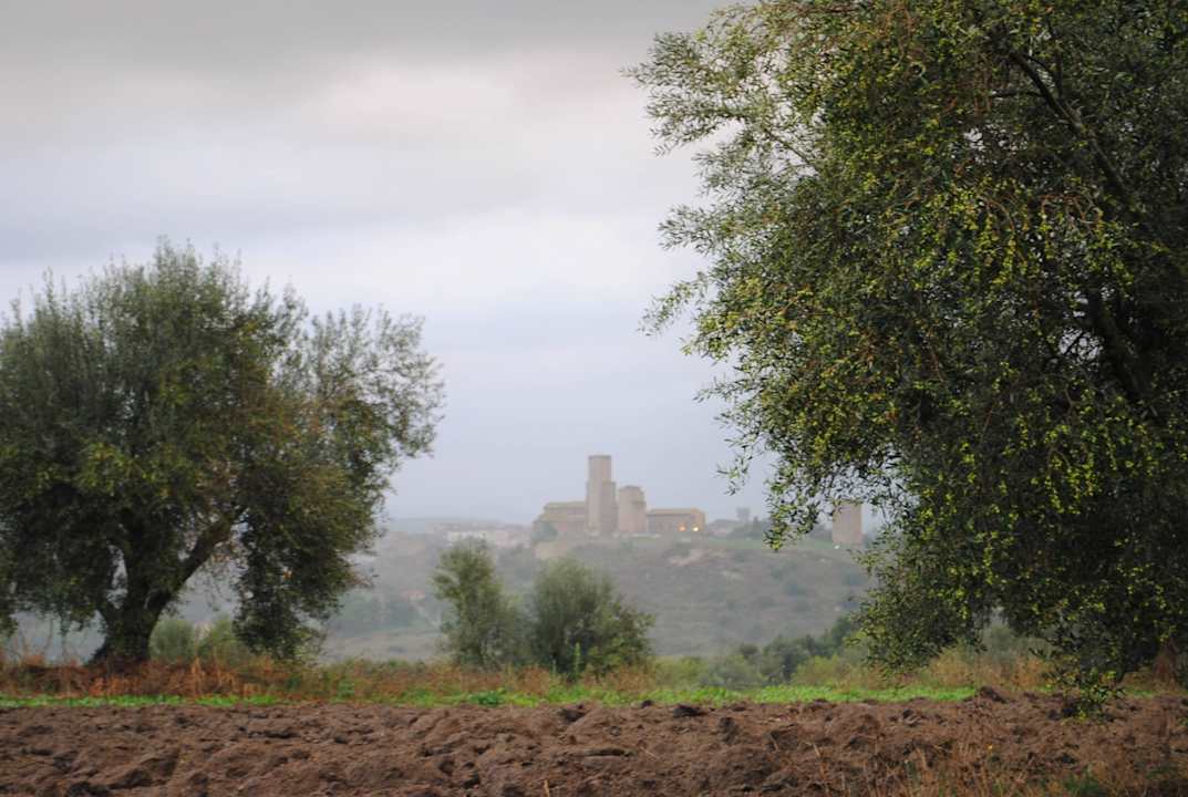 Basilica S. Pietro Casa Caponetti