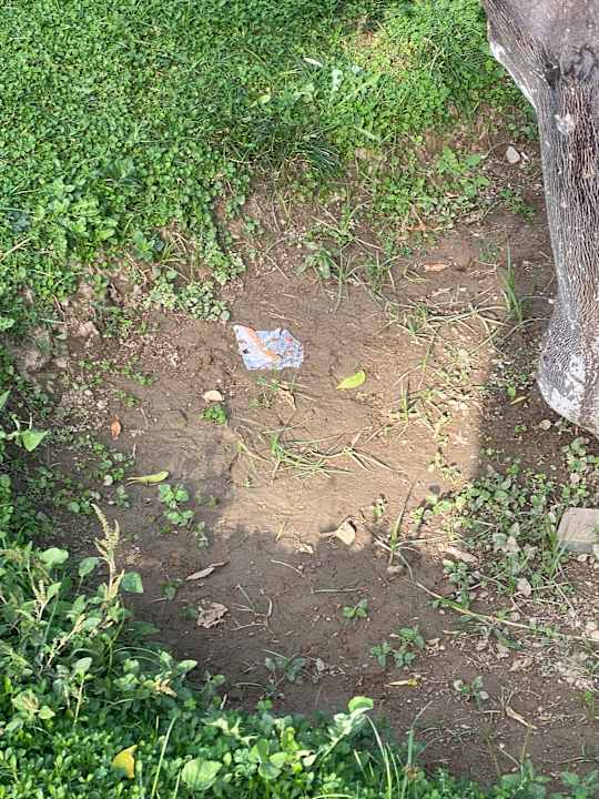 Gartenanlage Horus Paradise Luxury Resort & Club