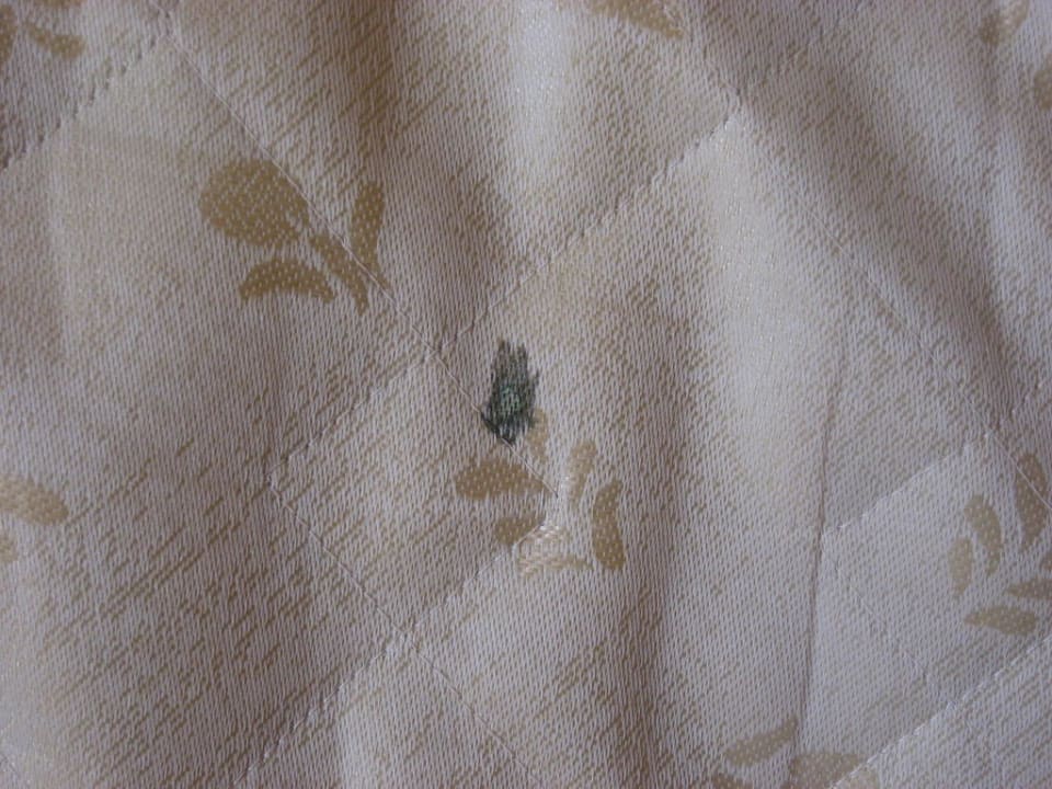 Schimmelflecken Vantaris Palace