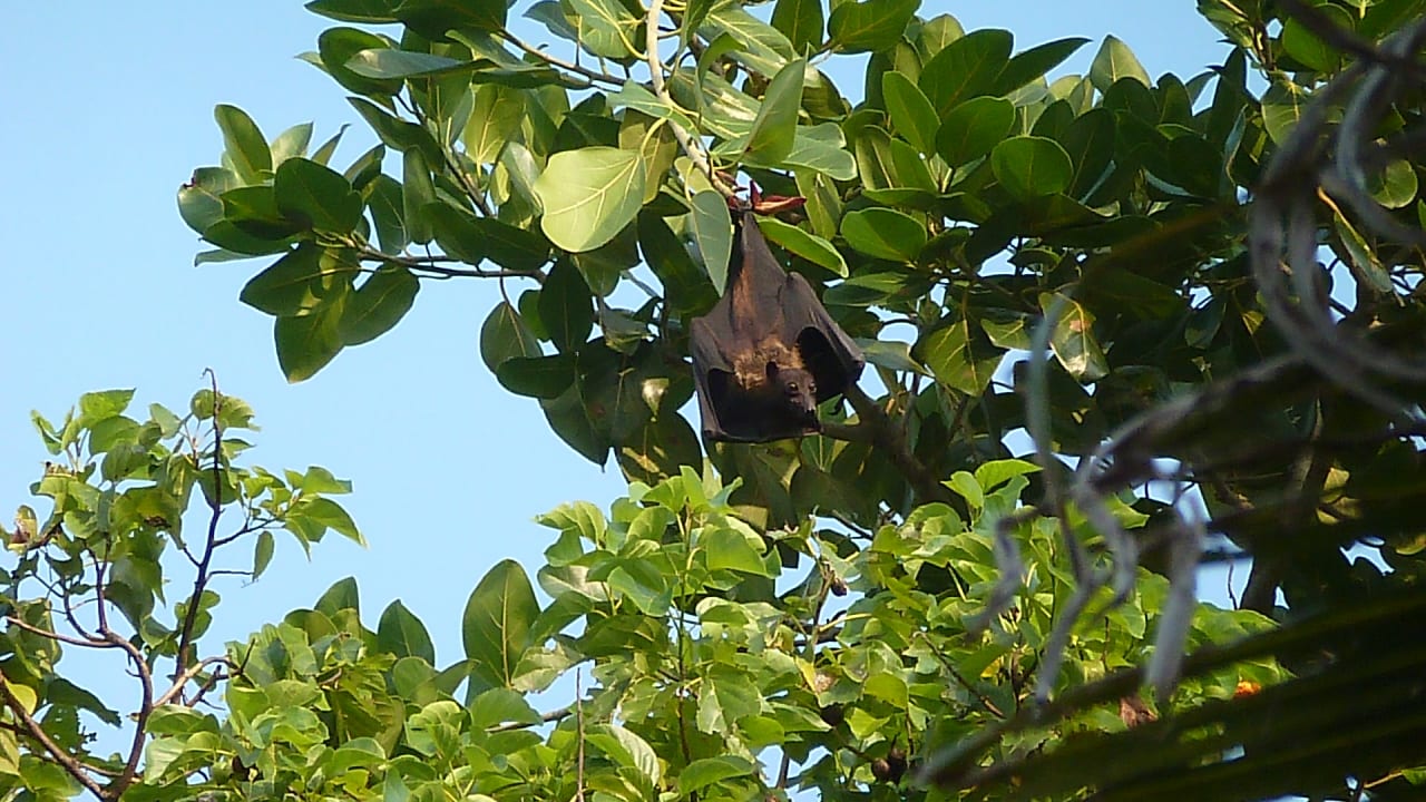 Gartenanlage Kuredu Island Resort & Spa