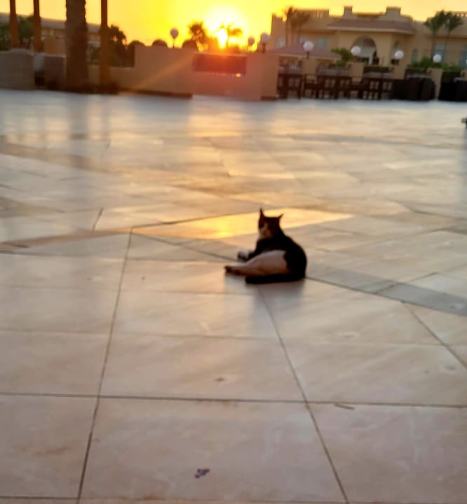 Sonstiges Cleopatra Luxury Resort Makadi Bay